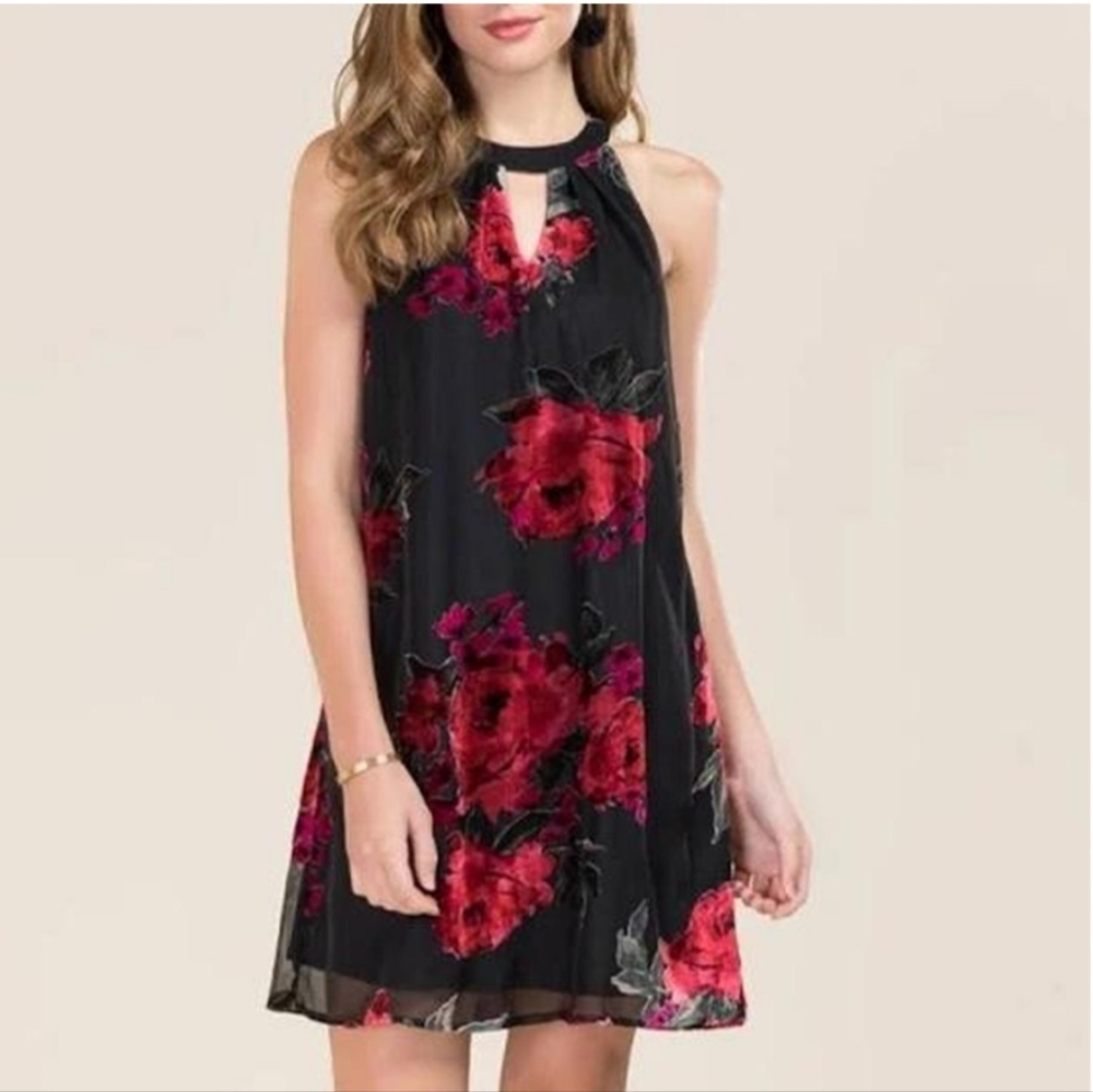 Francesca Sleeveless Mini Velvet Dress